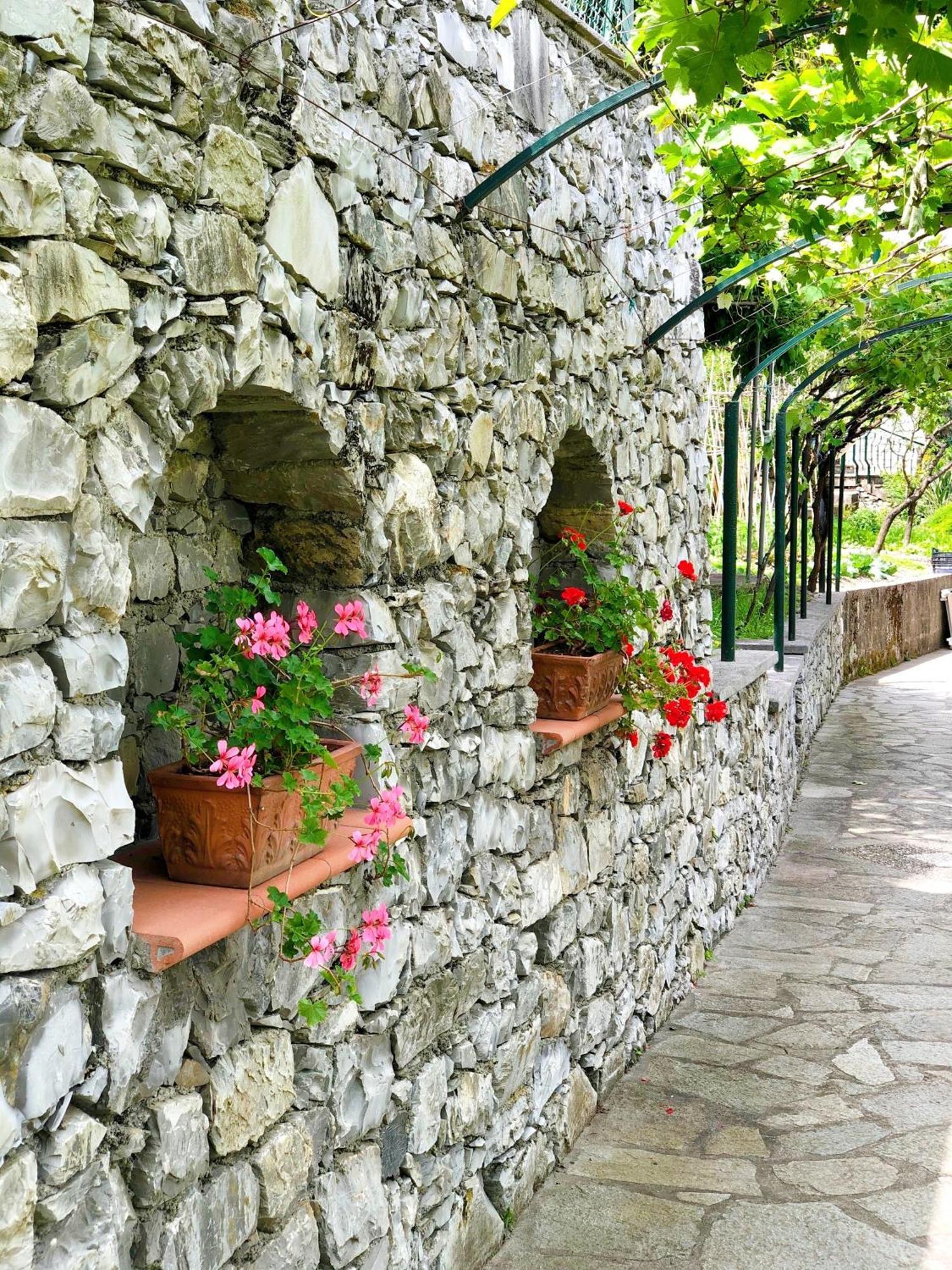 Hotel Villa Edera & La Torretta Moneglia Kültér fotó